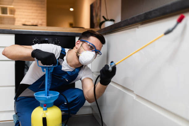 Best Ant Control Services  in Pryor Creek, OK