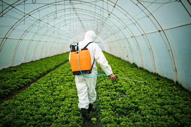 Best Commercial Pest Control Services  in Pryor Creek, OK