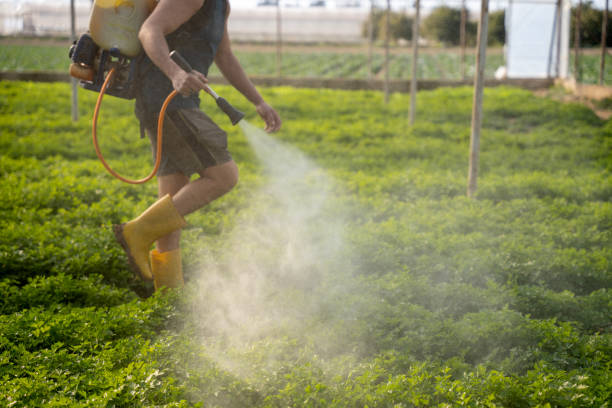 Best Wildlife Control Services  in Pryor Creek, OK