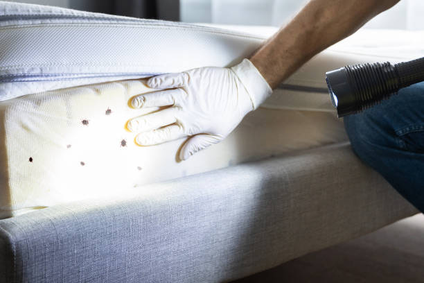 Best Best Pest Control Companies  in Pryor Creek, OK