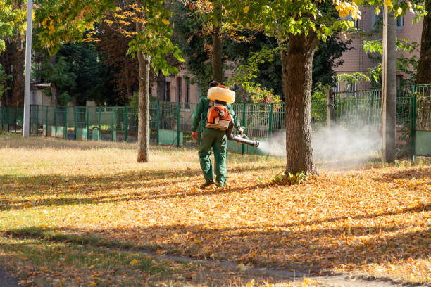 Best Pest Control for Homes  in Pryor Creek, OK