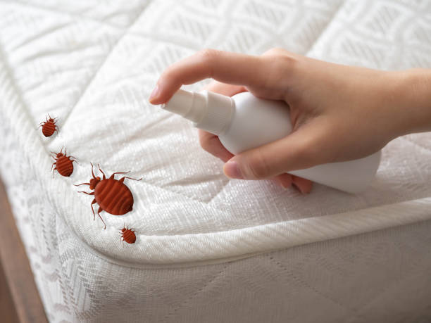 Best Cockroach Control Services  in Pryor Creek, OK