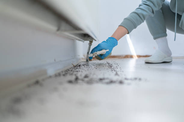 Best Emergency Pest Control  in Pryor Creek, OK