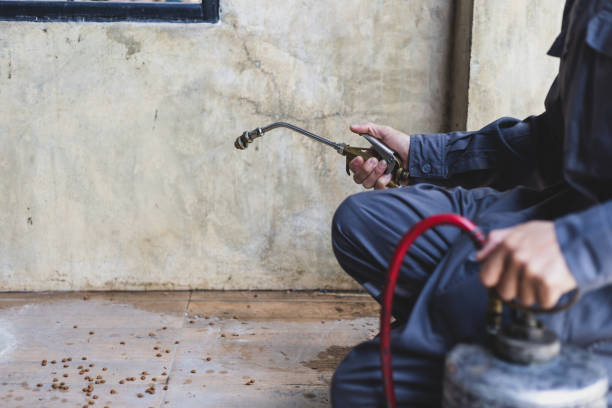Best Ant Control Services  in Pryor Creek, OK