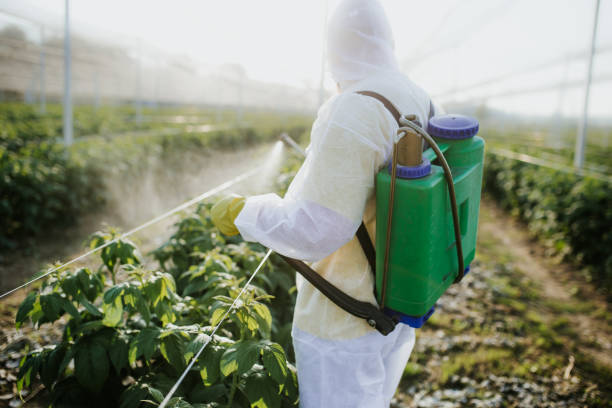 Pryor Creek, OK Pest Control Company